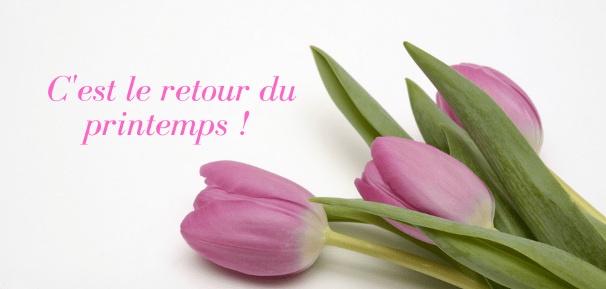 Sortie en famille à Paris, quelles activités à faire au printemps ?